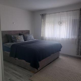 Apartman Sava - 1