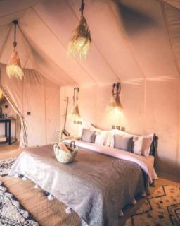 Star nights luxury camp - 2