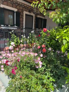 Elea Houses - 5
