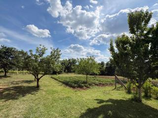 Villa Green Garden in Imotski, private pool - 8