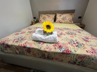 Apartament Indriti - 2