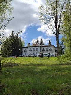 Hotel Vlasina - Vlasinsko jezero - 0