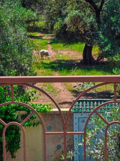 Villa Atlas Zitoun Ourika - 1