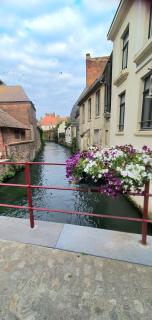 Maison des Roses - 4