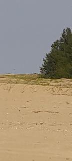 Batti Relax Point - 9