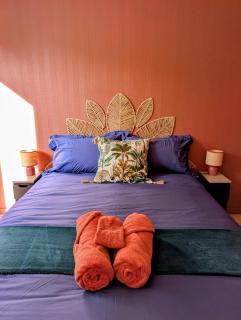Le Nid Coloré - Logement 2 chambres tout équipé avec terrasse et parking - 1