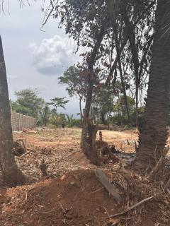 OBOSOMASE BASECAMP, Hiker's Paradise Ghana's OBOSOMASE BASECAMP, Hiker's Paradise, Ghana's Wild Eastern Region - 5