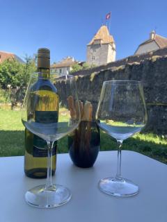 Studio avec vue sur le Château d'Aigle - 9