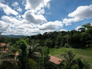 Rain Roots Estate Stay - 6