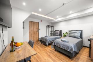 Central Platinum Apartments 11 - Rybnik - 1
