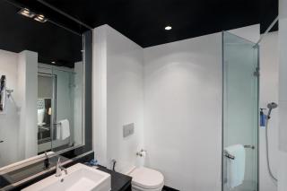 Radisson Blu Hotel New Delhi Paschim Vihar - 5