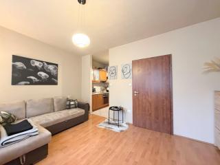 Champions League Final Stay 2-Bedroom Apartment in Central Budapest - 0