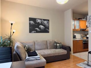 Champions League Final Stay 2-Bedroom Apartment in Central Budapest - 3