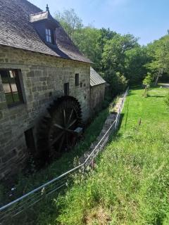 Le Moulin - 5