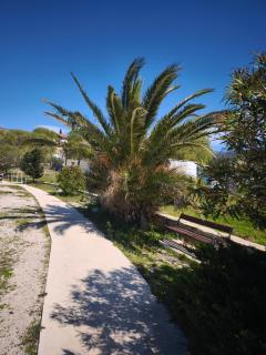 Sunny Home 16 - rodzinny domek w Dalmacji - 8