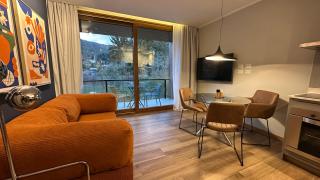 1BR home with heated pool and mountain view - 2