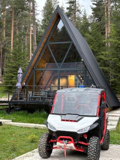Alpine Lodge - 8