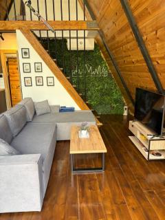 Alpine Lodge - 2