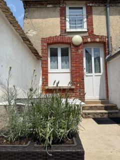 Cozy house in Hautvillers vineyard - 1
