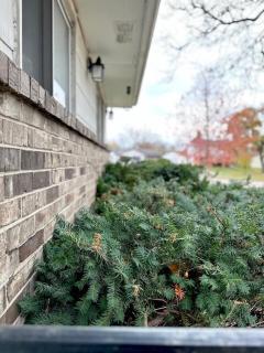 Upscale Retreat in the Heart of MKE - 9
