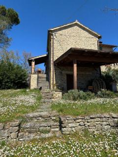 L'oliveto House - 9