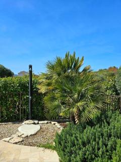 Acqua è Terra avec piscine et jardin à 350m du centre de Saint-Florent - 4