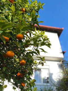 FERRUM house - 9