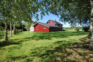Feriehus ved elva, fiske og natur - 8