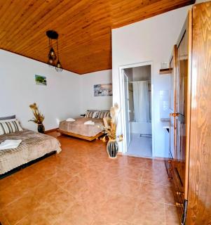 Pefkos Sea Shell - 2