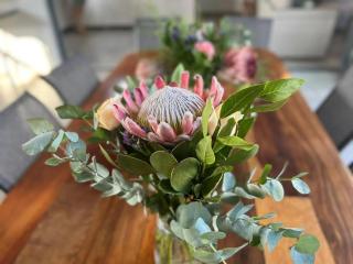 Thula Thula Guest House - 1