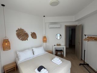 Eolia luxury houses Andros - Batsi - 8