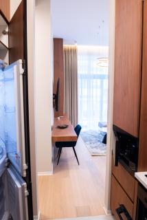 Dorado Suite - 1BR Retreat in One Floreasca Towers - 2