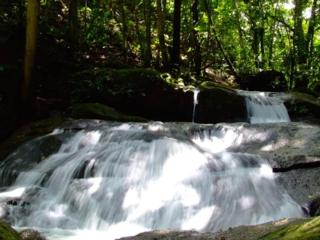 3BR, Spectacular Jungle Villa w Waterfalls & Toucans - 3