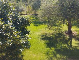 Casale Cerretti - 5