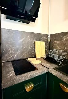 Deluxe Vintage Apartment - Przemyśl - 4