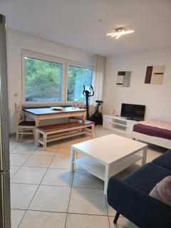 Contractor's apartment with balcony, barbecue, and parking space - 3
