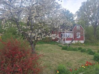 Idyllic country house near Sölvesborg - 2