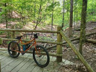 Beaver Lake Getaway - Rogers - 7