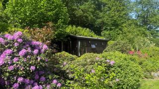 Chalet Kip & Geit incl Sauna & Jacuzzi - 0