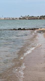 Selena bay - 2