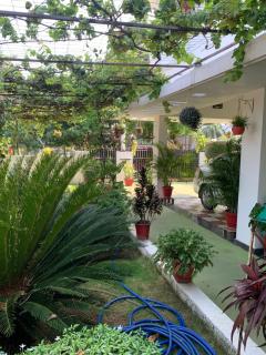 Amaravathi home stay - 2
