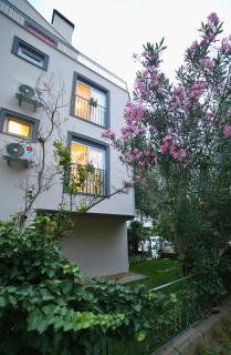 Lemon Garden - 7