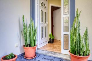 Valley Nest, a Home in Madeira - 4