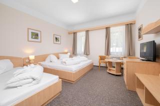 Horský Hotel Jelínek - 0