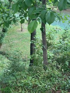 Goose Hollow at Sugar Creek for biking and hiking - 7