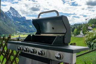Cozy alpine retreat with mountain view Gstaad - 6