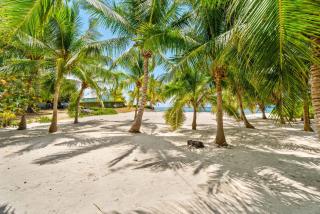 Peaceful Ocean Front Beach House in Bodden Town - 8