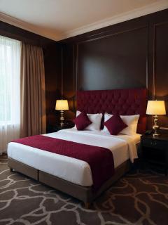 Hotel Aerotoun near By IGI Airport Delhi - 2