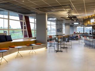 Ibis Aruja - 9