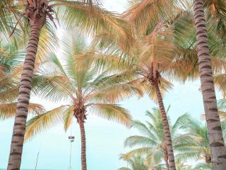 Movenpick Resort Lamantin Saly - 1